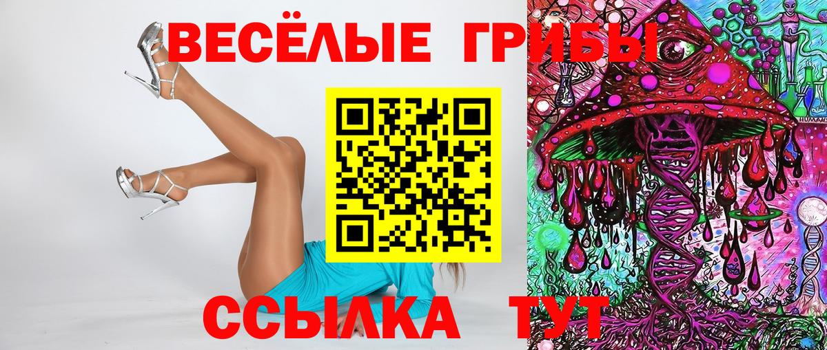 А ПВП Тамбов