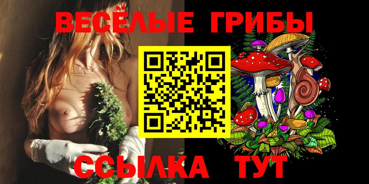 Псилоцибиновые грибы Cubensis Тамбов