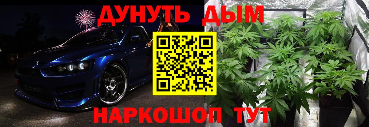 Шишки марихуана сатива Тамбов